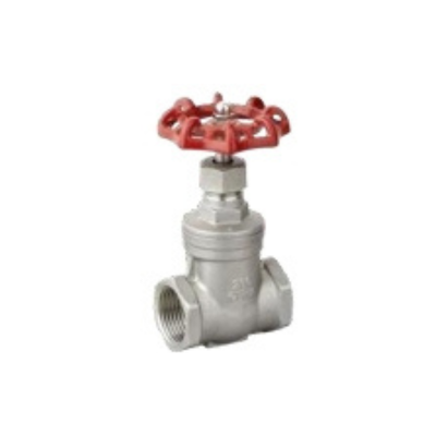 LEYO S/S GATE VALVE