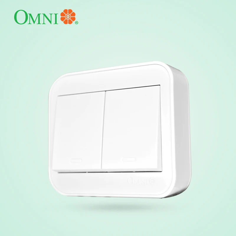 OMNI Surface Type Switch 2-Gang 10A -WSS-202-PK