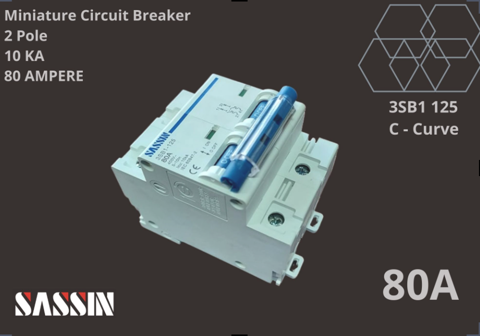 SASSIN Miniature Circuit Breaker 80A x 2P