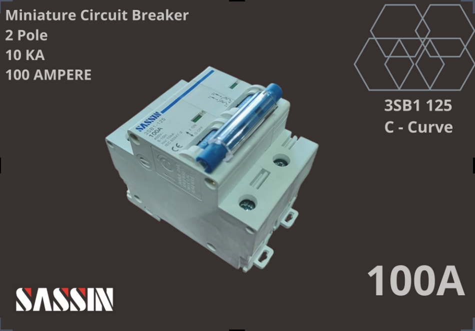 SASSIN Miniature Circuit Breaker 100A x 2P