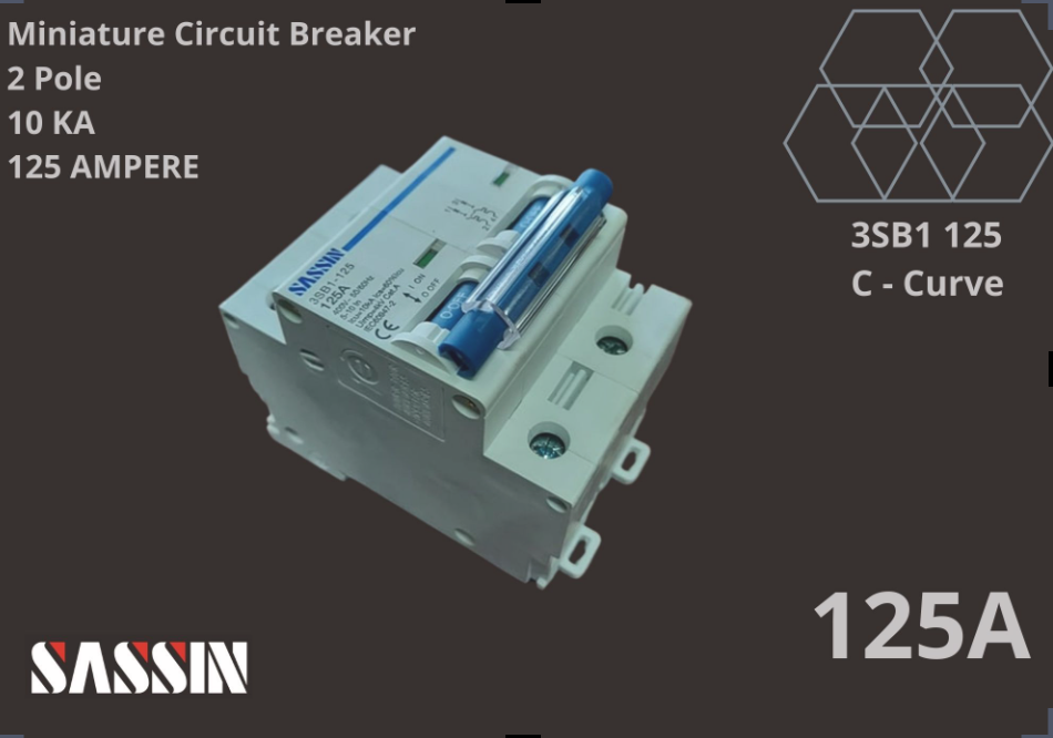 SASSIN Miniature Circuit Breaker 125A x 2P